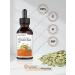 Organic Cold Pressed Pumpkin Seed Oil 4 oz | 100% Pure Extra Virgin | Vegetarian, Non-GMO, Gluten Free | for Hair and Face by Horbaach - Buy Online on GoSupps.com