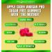 ACV Gummies - Sugar Free 1125mg with Mother for Detox Cleanse | Low Carb Keto Gummies for Insulin Resistance | Golo Apple Cider Vinegar Gummies - Buy Online on GoSupps.com