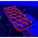 Reefing Stuff Aquarium Coral Frag Rack Magnetic Strong N52 Magnets 15cm (Black and Fluorescent Orange) Black orange - Buy Online on GoSupps.com