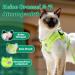 Buy Supet Cat Dishes & Leash Set | Soft Cat Vest for Kittens & Dogs | International Shipping Available - Buy Online on GoSupps.com