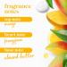 Dove Glowing Mango & Almond Butter Body Wash Pump 3-Pack - 30.6 oz x 3 | Gentle Skin Cleanser for Healthy-Looking Skin | 24hr Renewing MicroMoisture - Buy Online on GoSupps.com
