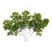 Alipis 10 Pcs Simulated Pine Leaves Green Leaves Christmas Plastic Dark Greenx2pcs mediumx2pcs