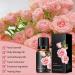 100% Pure Organic Rose Essential Oil - 10ml Travel Size for Diffuser Massage Skin & Hair | Best Rose Oil for Candle & Soap Making - Buy Online on GoSupps.com