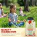 Premium Multivitamin Gummies for Toddlers & Kids - Chewable Essential Daily Vitamins A C D3 E B6 B12 Biotin - No High-Fructose-Corn-Syrup or Artificial Sweeteners - 60 Gummies 30-Day Supply Natural Fruit 1 Count (Pac  - Buy Online on GoSupps.com