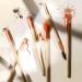 EcoTools Elements Limited Edition Fiery Eye Professional Eye Makeup Brush Set 6 Piece Set Orange - Buy Online on GoSupps.com