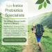 Hyperbiotics PRO-Women 5 Billion CFU - 60 Time-Release Probiotic Tablets - Buy Online on GoSupps.com