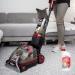 Rug Doctor Carpet Detergent with SpotBlok 1L - Pack of 1 | Top-Quality Cleaning Solution - Buy Online on GoSupps.com