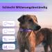 LED Dog Collar - Waterproof Color Changing Adjustable Light Collar for Small & Medium Dogs - Night Safety - PCEOTLLAR - Purple S (28-40cm) - Buy Online on GoSupps.com