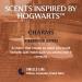 Every Man Jack Harry Potter Collectors Body Wash - Hogwarts Inspired Scents & Clean Ingredients - Charms - Wingardium Leviosa Scent - 13.5 oz (Pack of 2) - Buy Online on GoSupps.com
