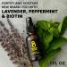 Beard Club Vitamin Spray for Facial Hair Growth | Natural Formula for Thicker Beards | Nourishing Growth Spray for All Skin Types - Buy Online on GoSupps.com