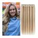 Hair Extensions Hair Clip In Hair Extensions Real Human Hair One Piece Hair Extensions One Piece Clip in Hair Extensions for women Straight Hair with 5 Clips (Highlight Color #8/613) Hair Pieces(24 In 24 Inches 120g/Set