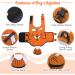 DENTRUN Dog Life Jacket Safety Vest - Adjustable Clownfish Shape for Swimming - High Visibility & Superior Floatation - Rescue Handle - XX-Large Orange - Buy Online on GoSupps.com
