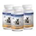 cat Urinary Tract Health Supplements - PET Healthy Urinary Complex - Dogs and Cats - Natural - VETS Recommended - Cranberry Comfort for Cats - 3 Bottle (270 Treats)