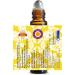 Deve Herbes Asthma Relief Essential Oil - Breathe Easy Blend for Asthmatics & High Blood Pressure - Cajeput Holy Basil Spearmint & Almond Oil - 10ml - Buy Online on GoSupps.com