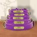 Senristar Personalized Leather Dog Collar with Engraved Name Tag | Durable & Stylish for Small Medium & Large Dogs - S Size (Violet) - Buy Online on GoSupps.com