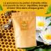 Propol-mel Pollen de Fleur de Lotus 100% Naturel. 500 grammes Issu d Abeilles Sans R sidus. Source de Prot ines d Acides Amin s de Lipides de Vitamines et de Min raux. - Buy Online on GoSupps.com
