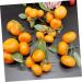 Zerodeko 3pcs Simulation Sugar Orange Plastic Fruit Decor Orange Model House Decorations for Home Artificial Orange Home D cor Playhouse Toy Photo Prop Household Showcase Foam - Buy Online on GoSupps.com