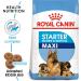 ROYAL CANIN - Maxi Starter Capacity: 4 kg - Buy Online on GoSupps.com