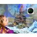 Digital Aquarium Thermometer with LED Display - High Accuracy to 0.9F - Wireless - Ideal for Fish, Axolotl, Turtle Tank - Fahrenheit Measurement - Buy Online on GoSupps.com