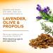 APIVITA Lavender Olive & Propolis Cleansing Foam 6.76 fl.oz. | Natural Face & Eye Cleanser | Hydrating & Nourishing Formula - Buy Online on GoSupps.com