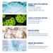 Lumilight Snake Venom Peptide Anti-Wrinkle Eye Cream - Set of 8 - Buy Online on GoSupps.com