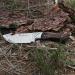 Ifield Camper Hunting Knife | 10.5 cm Blade | Survival Gear for Fishing Camping & Sports | Estamina Decorada - Buy Online on GoSupps.com