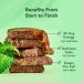 ALOHA Organic Plant Based Protein Bars  Chocolate Mint  1.98 Oz (Pack of 12) - Buy Online on GoSupps.com