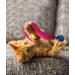 Dezi & Roo Wiggly Ball - 3pk - Fun Cat Toys for Indoor Cats - Vet-Designed - Made in USA - Buy Online on GoSupps.com