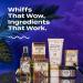 Indigo Wild Zum Bar Goat's Milk Soap - Frankincense and Myrrh - 3 oz (6 Pack) | Natural Handmade Soap Bars - Buy Online on GoSupps.com