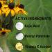 Kojic Acid Cream - Natural Skin Lightener for Even Tones | 4% Kojic Acid - 2oz Jar - Fast International Shipping - Buy Online on GoSupps.com