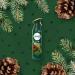 Febreze Air Freshener Spray - Winter Collection Limited Edition - Fresh-Cut Pine - 8.8 OZ (250 g) - Pack of 3 - Buy Online on GoSupps.com