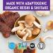 New Chapter LifeShield Immune Support Capsules - Organic Reishi Mushroom, Vegan & Non-GMO - 120 Count - Buy Online on GoSupps.com