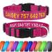 Tagme Personalized dog collar for medium dog with embroidered reflective nylon dog collar with pet name & telephone number hot pink m m (1 Pack) hot pink