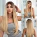Testar 26 inch ombre blonde wig with pony long straight wigs for women synthetic heat -resistant hair wigs for daily cosplay use for girls long ombre blonde