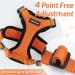 Rabbitgoo Cat Dishes & Adjustable Breakage-Proof Cat Harness Set - Orange M (1 Pack) for International Shipping - Buy Online on GoSupps.com