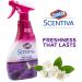 Clorox Scentiva Multi-Use Fabric Refresher Spray - Tuscan Lavender & Jasmine | Fabric Freshener for Upholstery Closets Curtains & Carpets | 16.9 oz (Pack of 2) - International Shipping Available - Buy Online on GoSupps.com