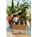 Buy Organic Bio Sanddorn Juice 6 Pack (6x250ml) - 100% Cold-Pressed Vegan Non-GMO No Added Sugar or Preservatives - Berriespolska  - Buy Online on GoSupps.com