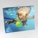 Hunde unter Wasser 2024 - Optimale Ausr stung f r Wasserliebende Hunde | Internationaler Versand - Buy Online on GoSupps.com