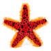Zappi Co Plush Children's Stuffed Soft Cuddly Plush Toy-Part of Safari Animals Collection Perfect for Kids (24cm Width)(Starfish)