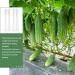 Luxshiny Cucumber Mold Horticulture 3pcs Vegetable Shaping Mold Strawberry Loudspeaker Cucumber Molds Garden Fruit Mold 20x6cm - Buy Online on GoSupps.com
