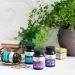 Organic India Joy! Herbal Supplement - Mood Booster, Immune Support, Memory & Concentration - Vegan & Gluten-Free - 90 Capsules - Buy Online on GoSupps.com