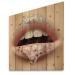 DesignQ Female Lips With A Gel On The Lips & Stars Modern & Contemporary Wood Wall Decor Silver Wood Wall Art Large People Wood Wall Panels Printed On Natural Pine Wood Art