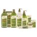 Dalan d Olive Olive Oil Body Butter Cream - 8.5 oz | For Dry Skin - Buy Online on GoSupps.com