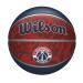 Wilson NBA Alliance Series Basketballs - Team Logo Basketballs - 29.5 "And Mini Sises Washington Wizards Size 7 - 29.5" Washington Wizards