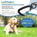 Hofleine Tie Out Cable for Large Dogs - Durable 9m Shock-Damping Spring Leash | Rustproof Pet Leash for Medium & Large Dogs Up to 125kg - Perfect for Courtyard & Camping - Buy Online on GoSupps.com
