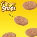 Ginger Snaps Cookies - Set of 6, 16 oz Boxes | Delicious and Crunchy Snack Option - Buy Online on GoSupps.com