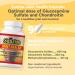 Sunrise Apothecary Joint Health Optimum Levels of Glucosamine Chondroitin and MSM Joint Muscle Supplements 90 Glucosamine and Chondroitin Capsules - Buy Online on GoSupps.com