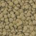 Premium Catfish Feed Bundle: Sera Vibormo Nature 2.2L Tablets & Welschips Nature 1L for Healthy Suction Catfish - International Shipping Available - Buy Online on GoSupps.com