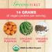 Greens First Dream Protein - USDA Organic Vegan Protein Powder - Nutritional Vanilla Dietary Supplement - Shop Internationally - Buy Online on GoSupps.com
