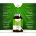 LN Bacopa Monnieri | 120 Vegan High Strength Brahmi Capsules | Non-GMO | Made in UK - Buy Online on GoSupps.com